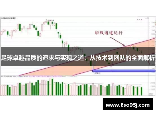 足球卓越品质的追求与实现之道：从技术到团队的全面解析